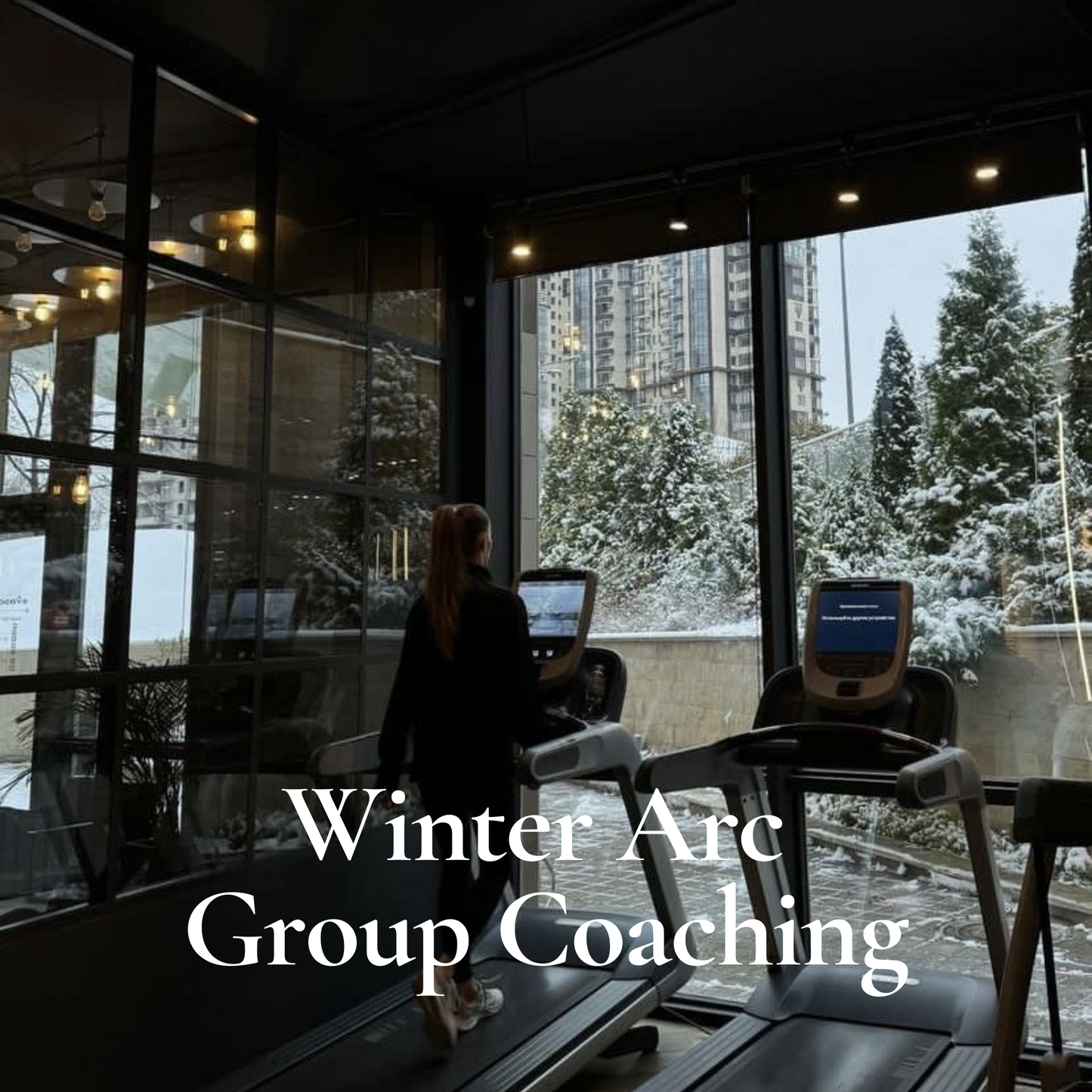 Winter Arc: Nov 2-Dec 13